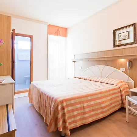 Hotel Mayer 3*