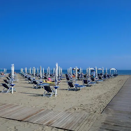 Mayer Bibione