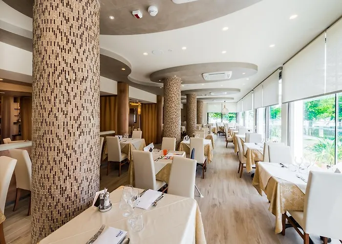 Mayer بيبيوني