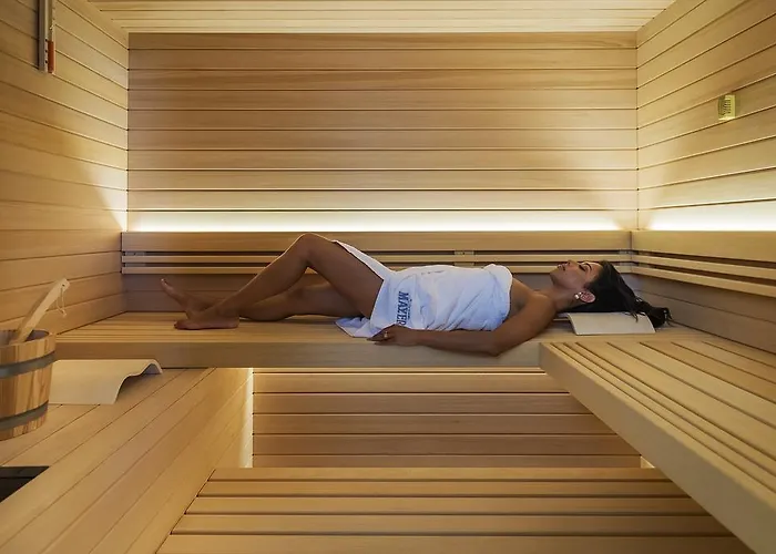 Mayer بيبيوني