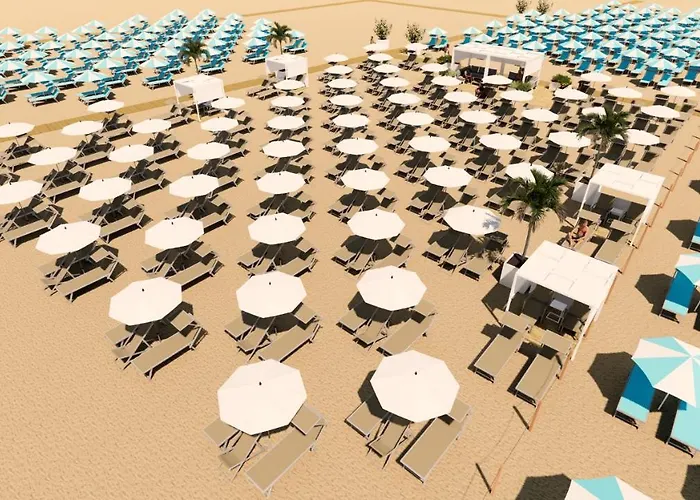 Mayer Bibione